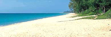 PHUKET BEACHFRONT LAND FOR SALE IN MAI KHAO BEACH