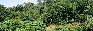 PHUKET BEACHFRONT LAND FOR SALE IN SIREY BAY