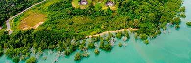 Phuket  Beachfront Land for Sale in Ao Por, Thalang Area,