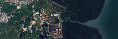 PHUKET BEACHFRONT LAND FOR SALE NEAR KOH KEAW