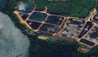 PHUKET BECHFRONT LAND FOR SALE NEAR MAI KHAO BEACH