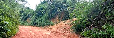 LAND FOR SALE IN LAYAN AREA, PHUKET