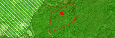 LAND FOR SALE IN LAYAN, PHUKET