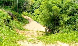 LAND FOR SALE IN LAYAN AREA, PHUKET