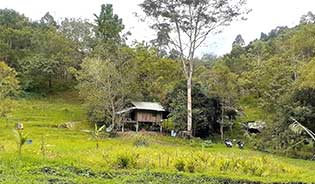 KAMALA LAND FOR SALE