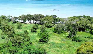 RAWAI BEACHFRONT LAND FOR SALE