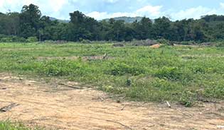 RARE LAND FOR SALE IN THALANG