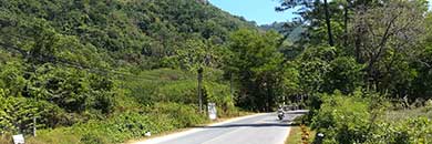 PHUKET LAND FOR SALE IN KAMALA AREA