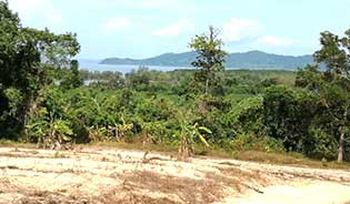 PHUKET LAND FOR SALE IN THALANG AREA
