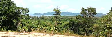PHUKET SEA VIEW LAND FOR SALE IN THALANG AREA