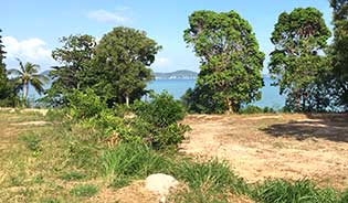 PHUKET BEACHFRONT LAND FOR SALE IN RAWAI
