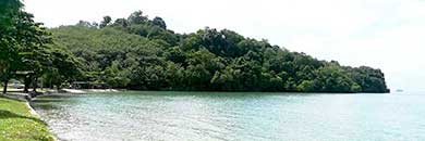 PHUKET BEACHFRONT LAND FOR SALE IN SIRAY BAY