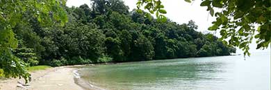 PHUKET BEACHFRONT LAND FOR SALE IN SIRAY BAY