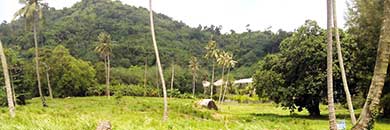 Naiyang Beachfront Land for Sale in Phuket 