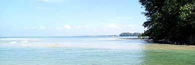 Naiyang Beachfront Land for Sale in Phuket 