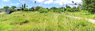 PHUKET LAND FOR SALE IN BANG TAO