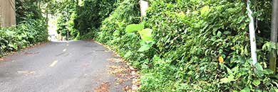 BUY PHUKET PROPERTY IN BANG TAO