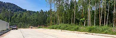 Phuket Land for Sale in  CHERNG TALAY, Thalang District