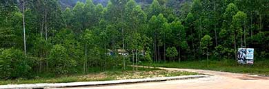 Phuket Land for Sale in  CHERNG TALAY, Thalang District