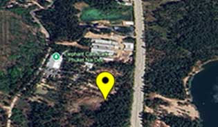 PHUKET LAND FOR SALE IN CHEONG TALAY