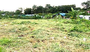 LAND FOR SALE IN RAWAI BEACH
