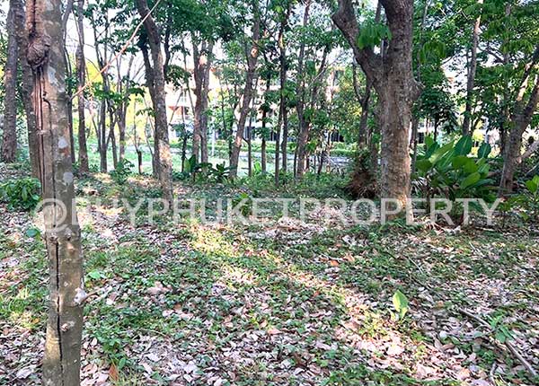 LAND FOR SALE IN NAIHARN BEACH, PHUKET