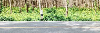 PHUKET LAND FOR SALE IN BANG JO, THALANG AREA