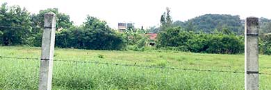 LAND FOR SALE IN BANG TAO, PHUKET