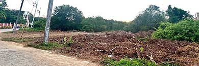 Best Price Land for Sale in Thalang District, Phuket
