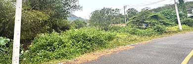 Best Price Land for Sale in Thalang District, Phuket