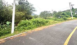 Best Price Land for Sale in Thalang Area, Phuket