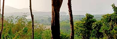 Sea View Land for Sale near Golf Course in Thalang area, Phuket