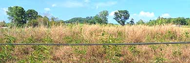 Cheap Land for sale in Thalang District, Phuket