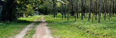 Vacant Land for sale in Thalang, Phuket