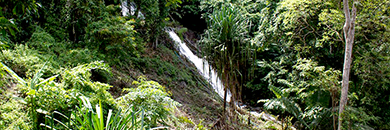 LAND FOR SALE IN KAMALA