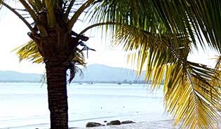 SSea View Land for Sale in Panwa beach