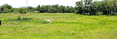 Best Price Phuket Land for Sale in Mai Khao Beach