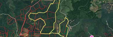 land for sale in Phang Nga Province