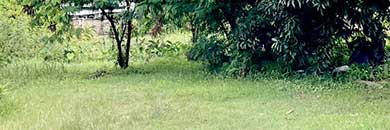 BANG TAO LAND FOR SALE