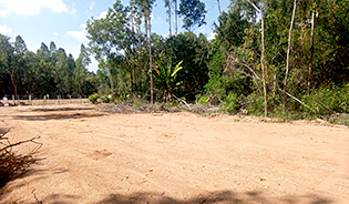 land for sale in Cheong Taley, Phuket